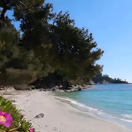 Chez Lina Appartement Le Lavandou